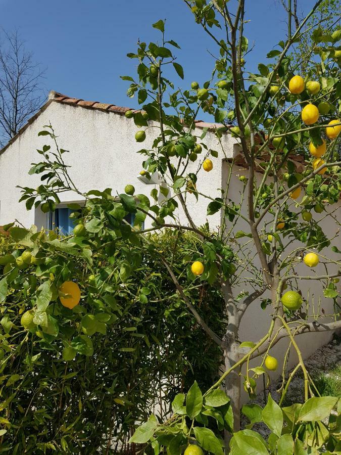 엑상프로방스 Le Mas De La Calade B&B 외부 사진